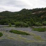 Foto: "Río Miño al paso por Outariz" de Fotos de Galicia