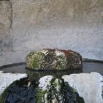 Foto: "Caño principal de la Burga de abajo - As Burgas" de Fotos de Galicia