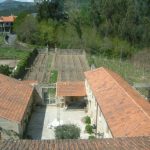 Foto: "Arbo" de Alfonso Luaces