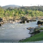 Foto: "Arbo" de Alfonso Luaces