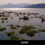 Foto: "Paisaje de la zona natural de Catoira" de Loreto  López Baltar