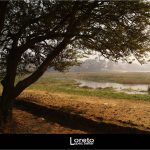 Foto: "Paisaje de la zona natural de Catoira" de Loreto  López Baltar