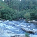 Foto: "Rio Umia en Segade" de Maria S.V.