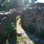 Foto: "Castro de Troña situado en Pías (Ponteareas)" de Maria S.V.
