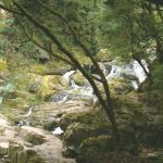 Foto: "Fervenza da Toxa" de Juan y Gela