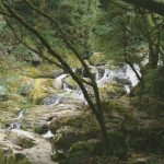 Foto: "Fervenza da Toxa" de Juan y Gela