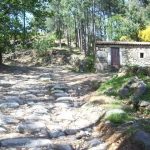 Foto: "Molino del Picón" de Sonia Mª García García