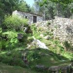 Foto: "Vista de Molinos del Picón" de Sonia Mª García García
