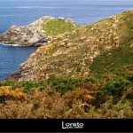 Foto: "Paisaje de la Isla de Ons" de Loreto  López Baltar