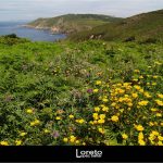 Foto: "Paisaje en la Isla de Ons" de Loreto  López Baltar