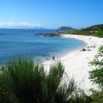Foto: "Playa Area dos Cans en la Isla de Ons" de Banco de Imágenes del CNICE (Ministerio de Educación y Ciencia)