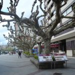 Foto: "Alameda de Vilagarcía" de Maria S.V.