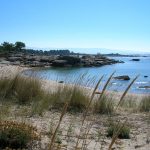 Foto: "Arenal en la Illa de Arousa" de Marisa Gabín Naveira
