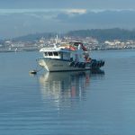 Foto: "Pesquero en Vilanova de Arousa" de manuel doce