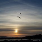 Foto: "Atardecer con gaviotas en San Vicente do Mar en O Grove" de Julián Romero Cerradelo