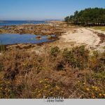 Foto: "Cala en O Carreirón" de Loreto  López Baltar