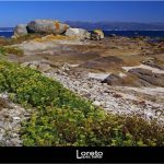 Foto: "Paisaje costero de la Illa de Arousa" de Loreto  López Baltar