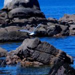 Foto: "Rocas en a Illa de Arousa" de Loreto  López Baltar