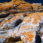 Foto: "Paisaje da Illa de Arousa" de Loreto  López Baltar