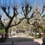 Foto: "Praza Ravella co edificio do concello de Vilagarcia de Arousa ó fondo" de Maria S.V.