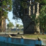 Foto: "Réplica da torre de Calogo no xardin umbrío" de Maria S.V.