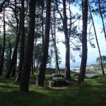 Foto: "Merendeiro no pinal da Illa de Arousa" de Maria S.V.