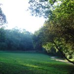 Foto: "Paseo da Aldea Labrega" de Maria S.V.