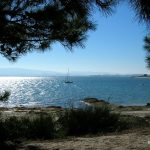 Foto: "Pinar a la orilla del mar en Illa de Arousa" de Marisa Gabín Naveira