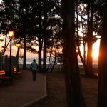 Foto: "Paseo do Terrón en Vilanova de Arousa" de Suso Redondo
