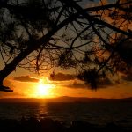 Foto: "Posta de sol entre piñeiros en Vilanova de Arousa" de Suso Redondo