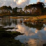 Foto: "Punta O Carreirón en Illa de Arousa" de Suso Redondo