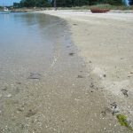 Foto: "Praia Espiñeiro na Illa de Arousa" de Maria S.V.