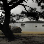 Foto: "Playa del Parque Natural de Punta Carreirón en Illa de Arousa" de Suso Redondo