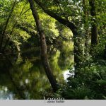 Foto: "Río Verdugo en Pontecaldelas" de Loreto  López Baltar