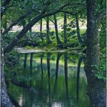 Foto: "Detalle del río Verdugo en Pontecaldelas" de Loreto  López Baltar