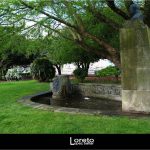 Foto: "Parque en Pontevedra" de Loreto  López Baltar