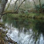 Foto: "Río Verdugo en Pontecaldelas" de Maria S.V.