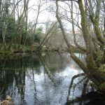 Foto: "Río Verdugo en Pontecaldelas" de Maria S.V.