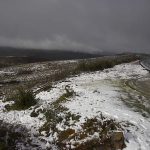Foto: "Codeseda" de Monabell Freire