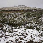 Foto: "Codeseda" de Monabell Freire
