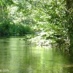 Foto: "Río Umia al paso por Codeseda en A Estrada" de Codeseda Punto Com
