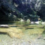 Foto: "Playa fluvial en Soutomaior" de José Francisco Alfaya
