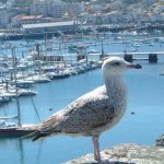 Foto: "Baiona" de Alfonso Luaces